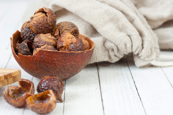 soapnuts in a shell